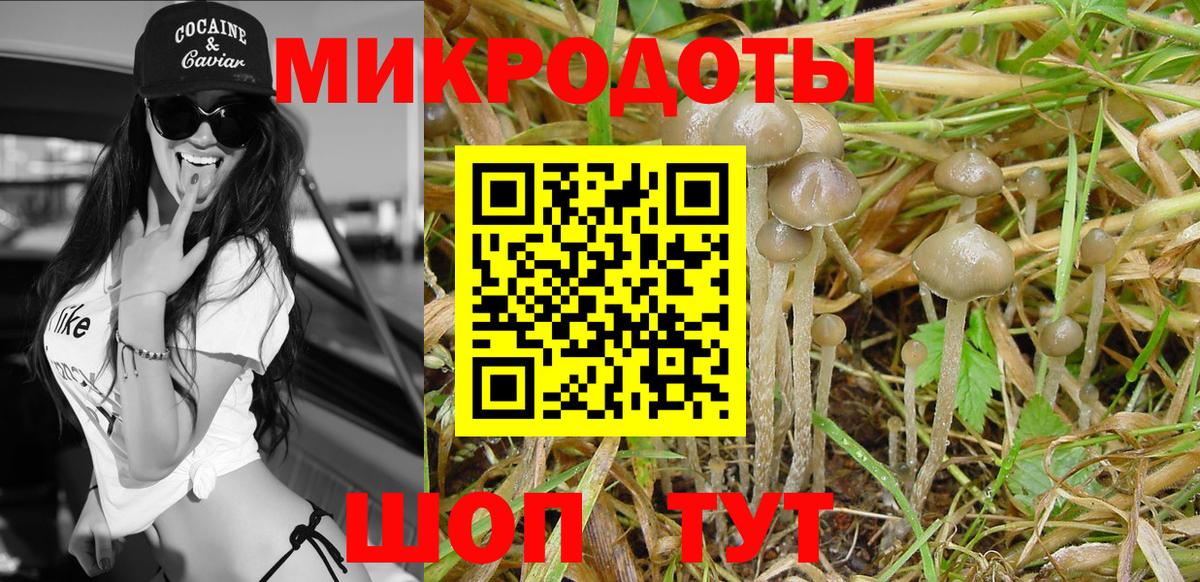 Острогожск  Псилоцибиновые грибы мухоморы  Вход с VPN 