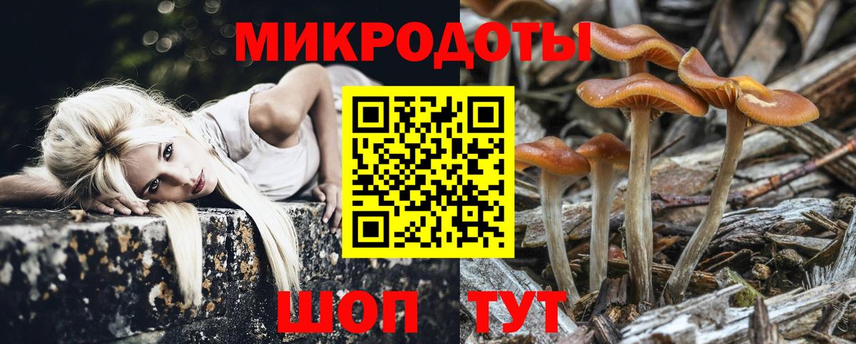 Псилоцибиновые грибы MAGIC MUSHROOMS Острогожск